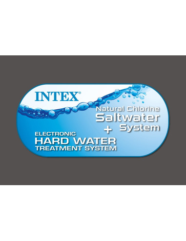 PURE SPA™ 28462 BUBBLE E JET MASSAGE...